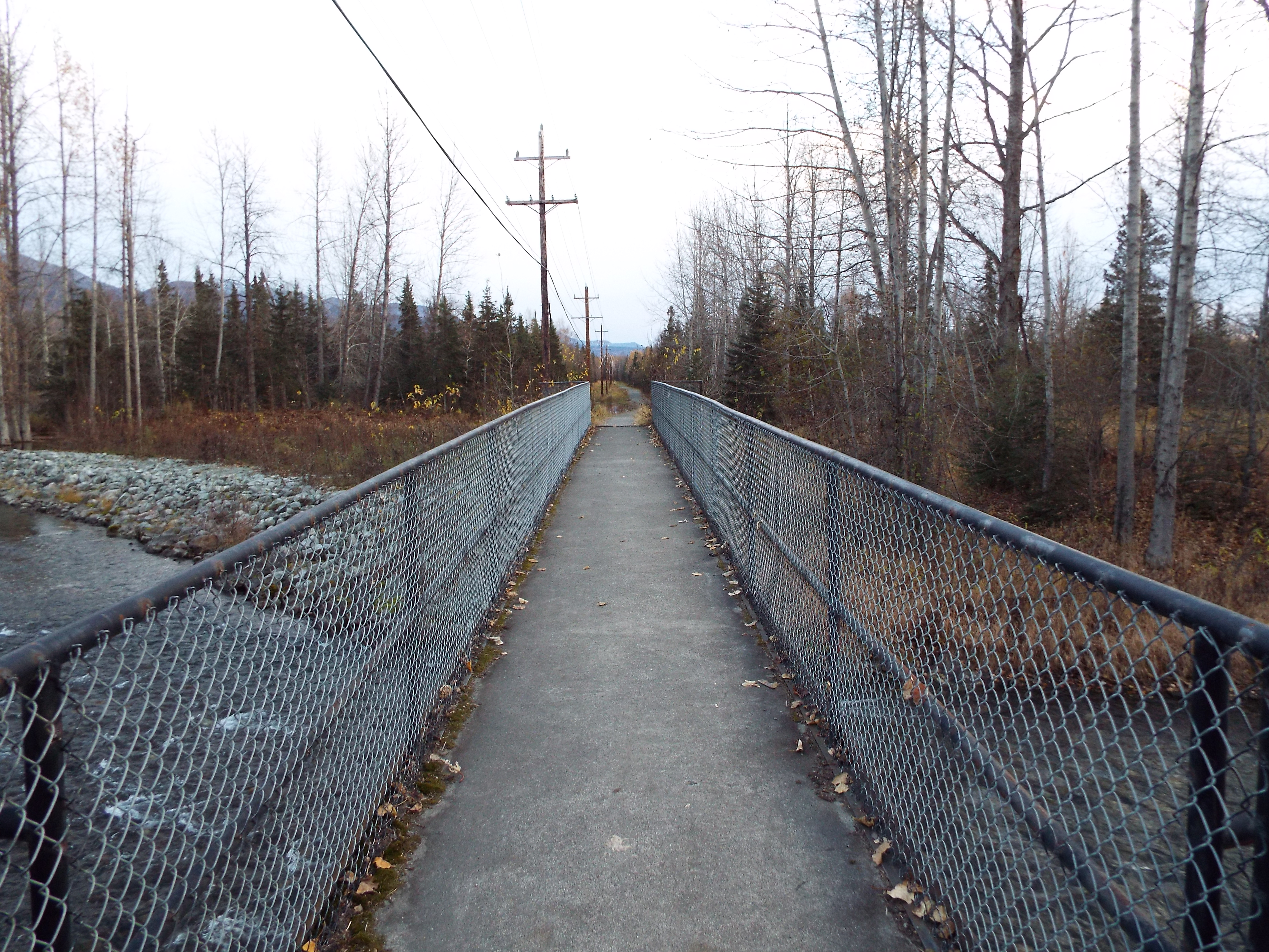 bridge