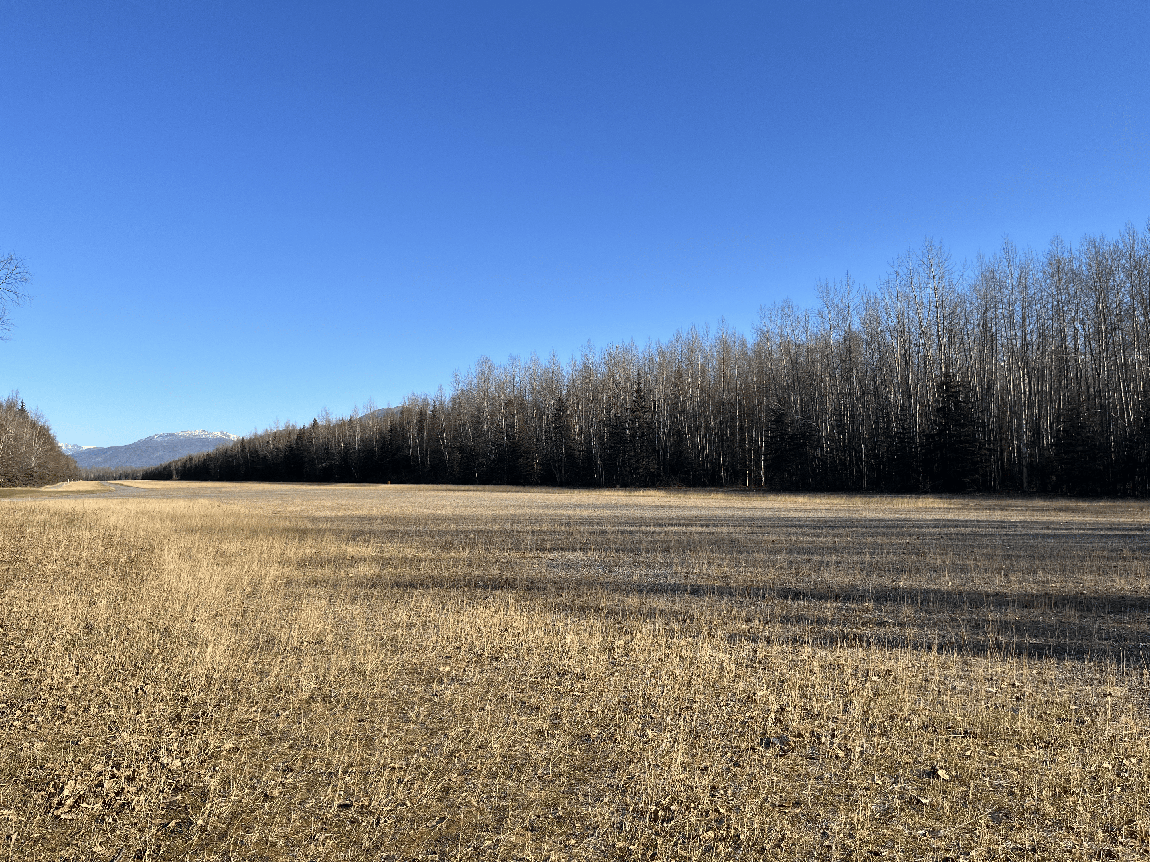 dirt-airstrip