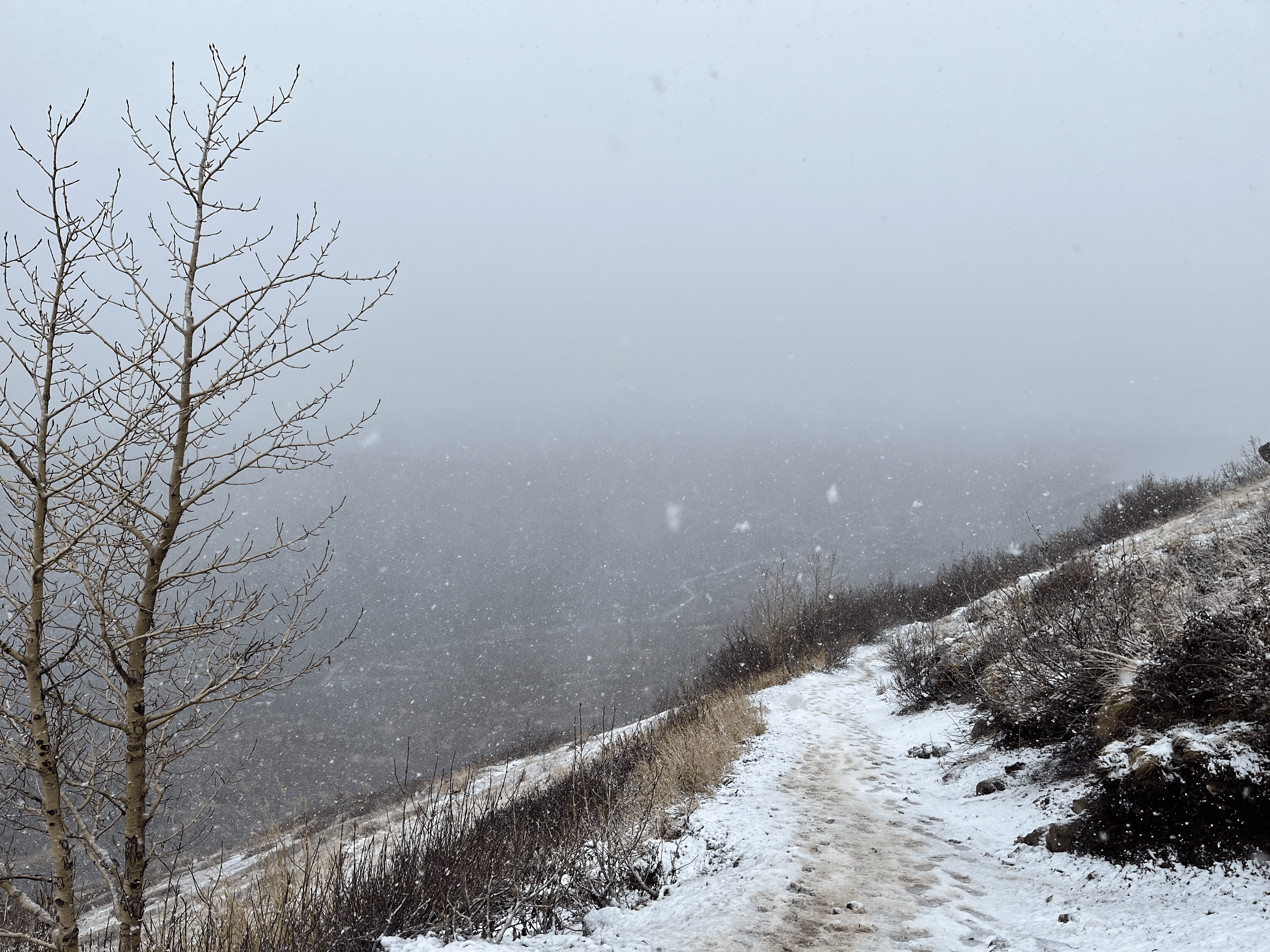 winter-hike