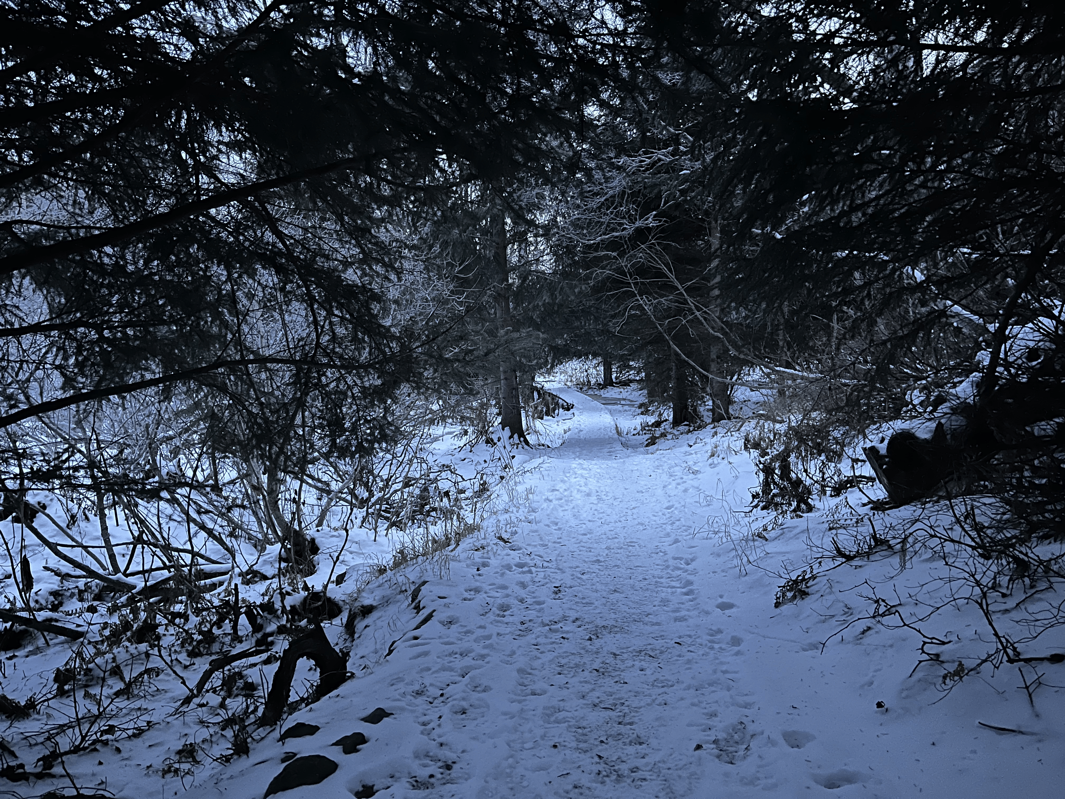 winter-path-trail